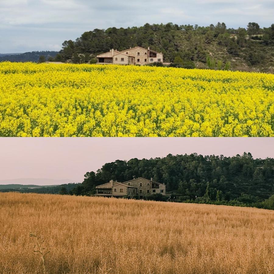 Cal Ros Panzió Calonge de Segarra Kültér fotó